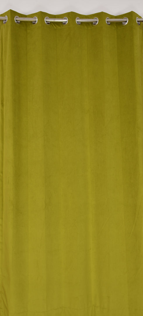 Hamilton Curtain by Florida - Curtains for Living Room Bedroom Balcony Made with Plain Holand Velvet and Solid Colors